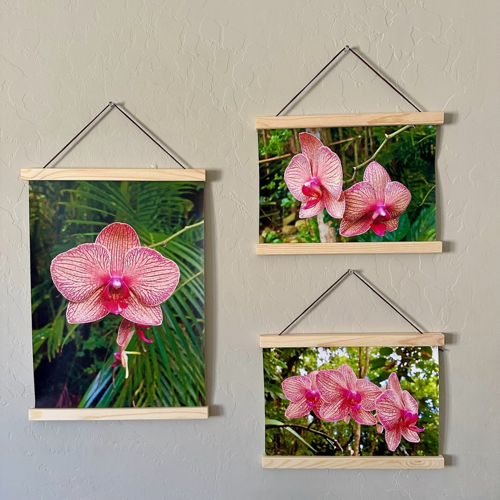 Pink and Cream Orchids photo set